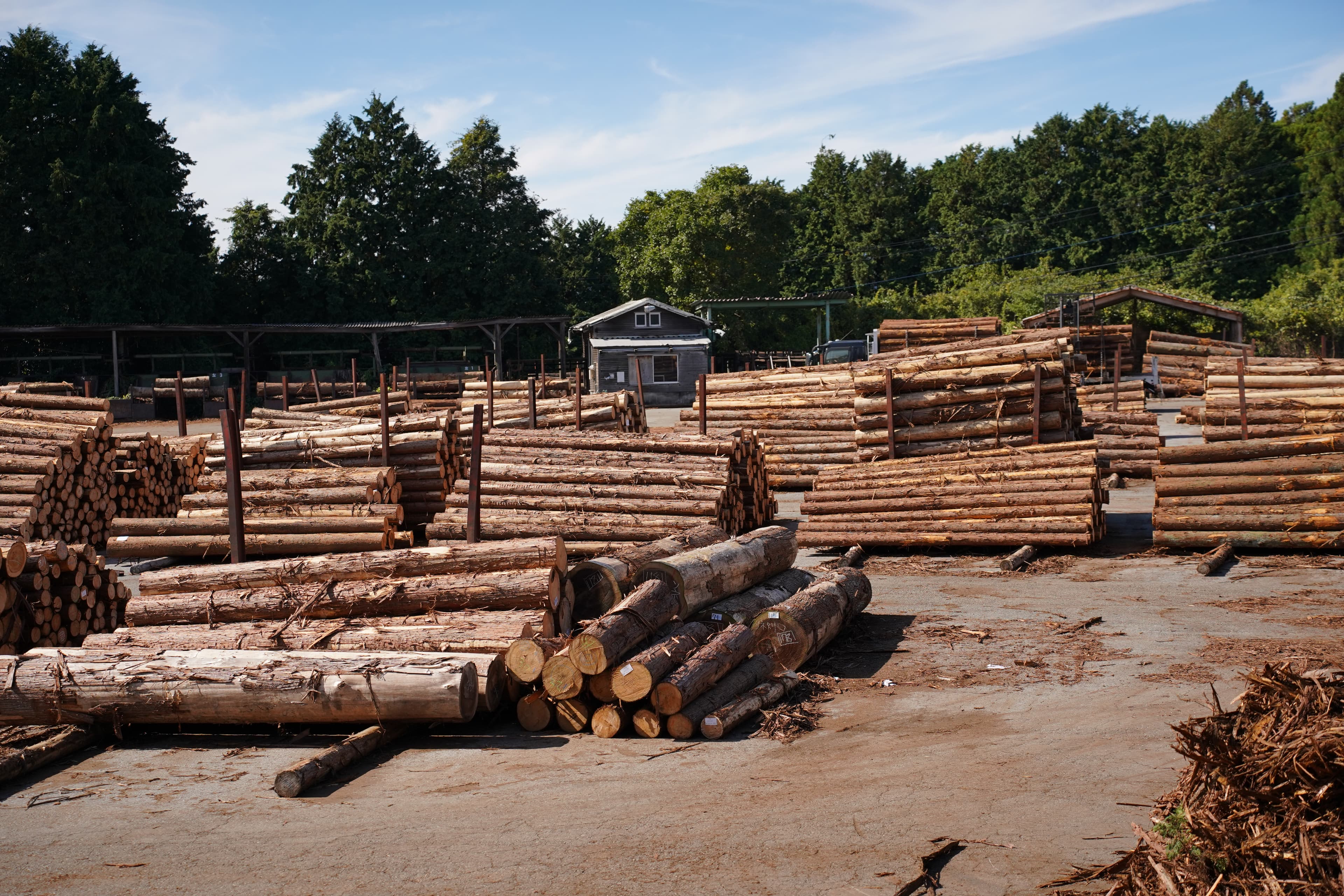 ポケットサイズの森林浴